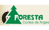 SC Foresta Arges SA