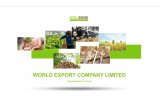 World Export Co., Ltd