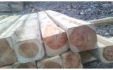 Wood Timber Export