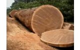 Epajoes and Sons Woods Supplier