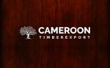 Cameroon Timber Export