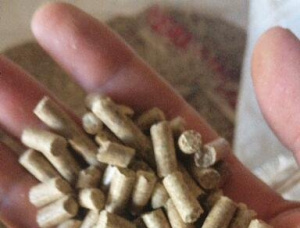 Scots Pine Wood pellets 6 mm x 30 mm