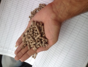 Siberian Pine Wood pellets 6 mm x 10 mm