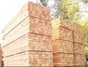 Oak Lumber KD 100 мм x 300 мм x 3 м