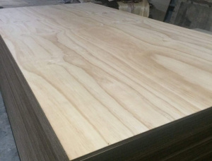 Sanded Eucalyptus Interior Plywood 2440 mm x 1220 mm x 12 mm