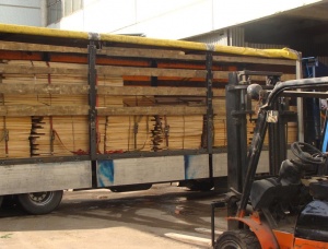 30 mm x 150 mm x 4200 mm KD R/S  White Ash Lumber
