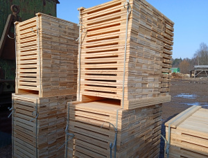 European larch Pallet timber 22 mm x 143 mm x 1200 m