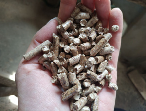 歐洲赤松 木制颗粒 6 mm x 25 mm