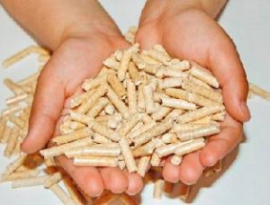 Oak Wood pellets 6 mm x 4800 mm