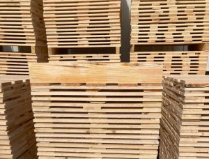 Common Black Alder Wooden Pallet 3000 mm x 200 mm x 2 mm