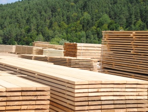 Sawn Timber Pine AD 50 mm x 200 mm x 5 m