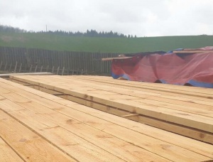 Lumber KD Ash 50 mm x 250 mm x 6 m