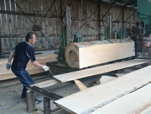 30 mm x 200 mm x 2400 mm KD  Beech Joinery lumber