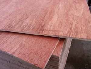 Sanded Radiata Pine Interior Plywood 1224 mm x 2500 mm x 12 mm