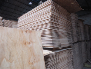 Sperrholz Exterior Yunnan-Kiefer 1820 mm x 910 mm x 12 mm
