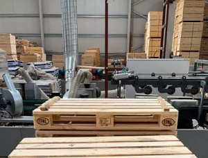 Holzpalette Erle 3000 mm x 200 mm x 2 mm