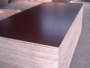 Film Faced Plywood 25 mm x 1220 mm x 2500 mm