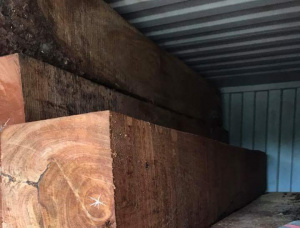 Doussie (Afzelia, Lingue, Apa, Chanfuta) Square Logs 45 mm x 4 m