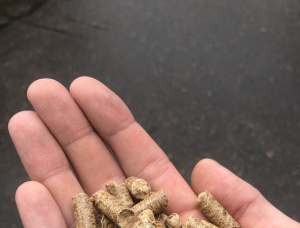 Oak Wood pellets 8 mm x 21 mm