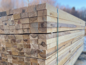 50 mm x 100 mm x 3000 mm GR R/S  Birch Lumber