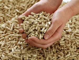Iroko (Mvuli, Kambala, Semli, Rokko) Wood pellets 6 mm x 10 mm