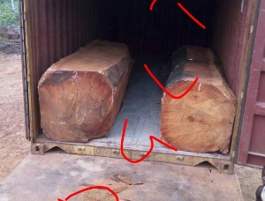 Padouk Square Logs KD 40 mm x 40 mm x 300 mm