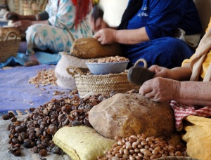 摩洛哥堅果殼硬生物燃料