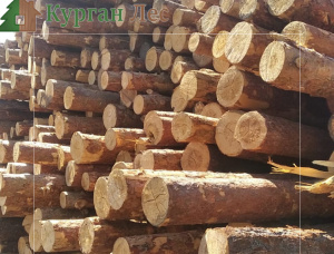 Балансовая древесина Сосна обыкновенная 150 мм x 6 м