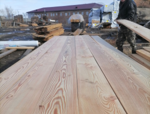 25 mm x 150 mm x 6000 mm KD S4S Heat Treated Siberian Larch Lumber