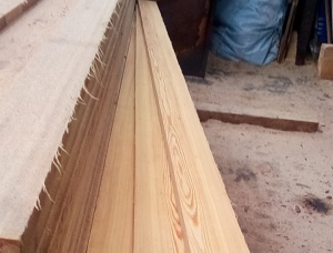 50 mm x 150 mm x 6000 mm GR S4S  Siberian Larch Lumber