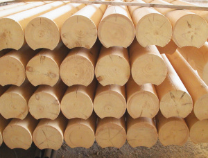 Swiss pine Rounded beam 240 mm x 4 m