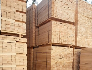Beech Pallet timber 50 mm x 50 mm x 1000 mm