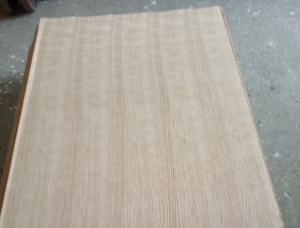 Particle board 19 mm x 800 mm x 2500 mm