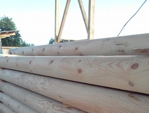 Scots Pine Rounded beam 16 mm x 7.15 m
