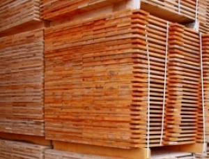 Palettenholz Fichte-Kiefer-Tanne (SPF) 15 mm x 75 mm x 1200 mm