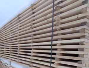 25 mm x 100 mm x 3000 mm KD S4S  Silver Birch Lumber