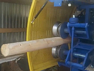 Zylindrisch rundholz Fichte-Kiefer (S-P) 120 mm x 6 m