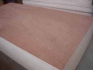 Poplar Plywood 5 mm x 50 mm x 1220 mm