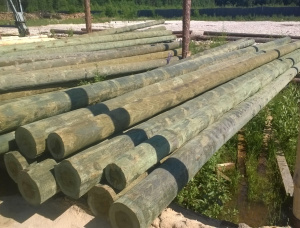 Scots Pine Wood utility poles 18 mm x 9.5 m