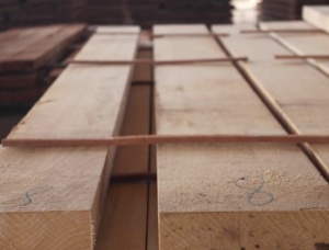30 mm x 200 mm x 2000 mm KD  Beech Lumber