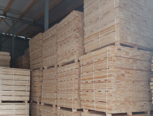Spruce-Pine (S-P) Pallet timber 17 mm x 98 mm x 1.1 m