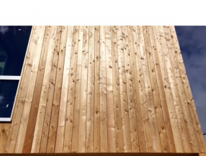 KD Siberian Larch Wooden Cladding 21 mm x 145 mm x 6000 mm