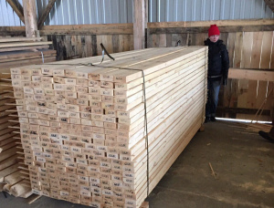 22 mm x 120 mm x 3000 mm KD R/S Heat Treated Radiata Pine Lumber