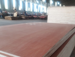 Sanded Eucalyptus Interior Plywood 2440 mm x 1220 mm x 6 mm