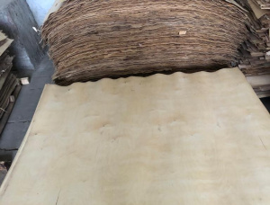 旋切單板 桦木 1500 mm x 1500 mm x 2 mm
