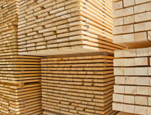 50 mm x 150 mm x 6100 mm GR R/S  Birch Lumber