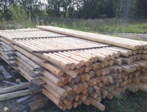 木杆 歐洲赤松 100 mm x 6 m