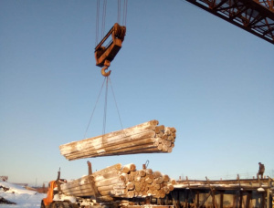 Siberian Pine Wood utility poles 160 mm x 9.5 m