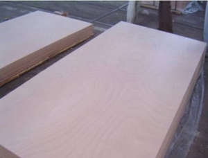 Sanded Radiata Pine Interior Plywood 1224 mm x 2500 mm x 12 mm