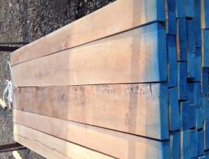50 mm x 100 mm x 2600 mm KD S2S Heat Treated Beech Lumber